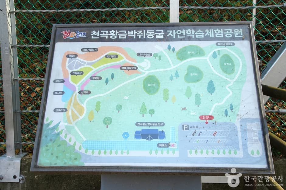 천곡천연동굴 자연학습체험공원 (3)