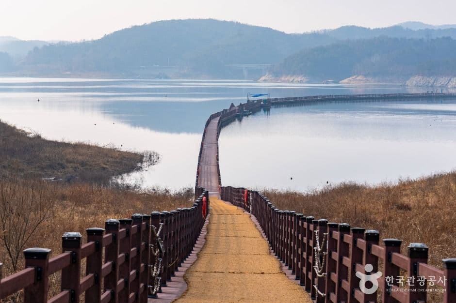 안동_안동호반자연휴양림 (3)