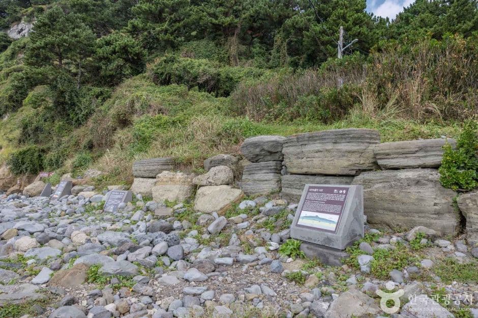 제주_서귀포시_서귀포 패류화석산지_2932006 (9)