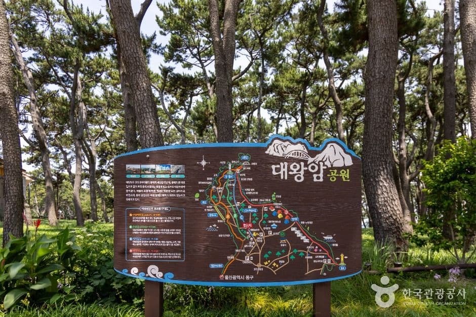 대왕암공원 (3)