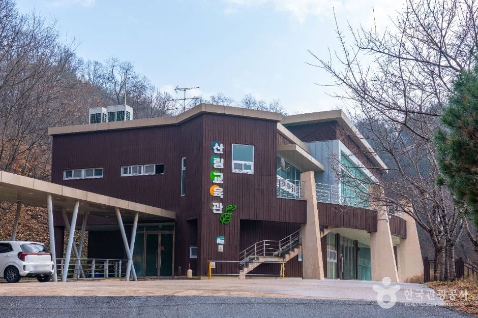 안동_안동호반자연휴양림 (4)