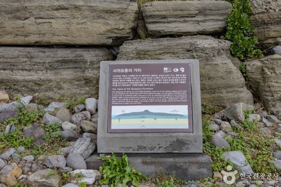 제주_서귀포시_서귀포 패류화석산지_2932006 (8)