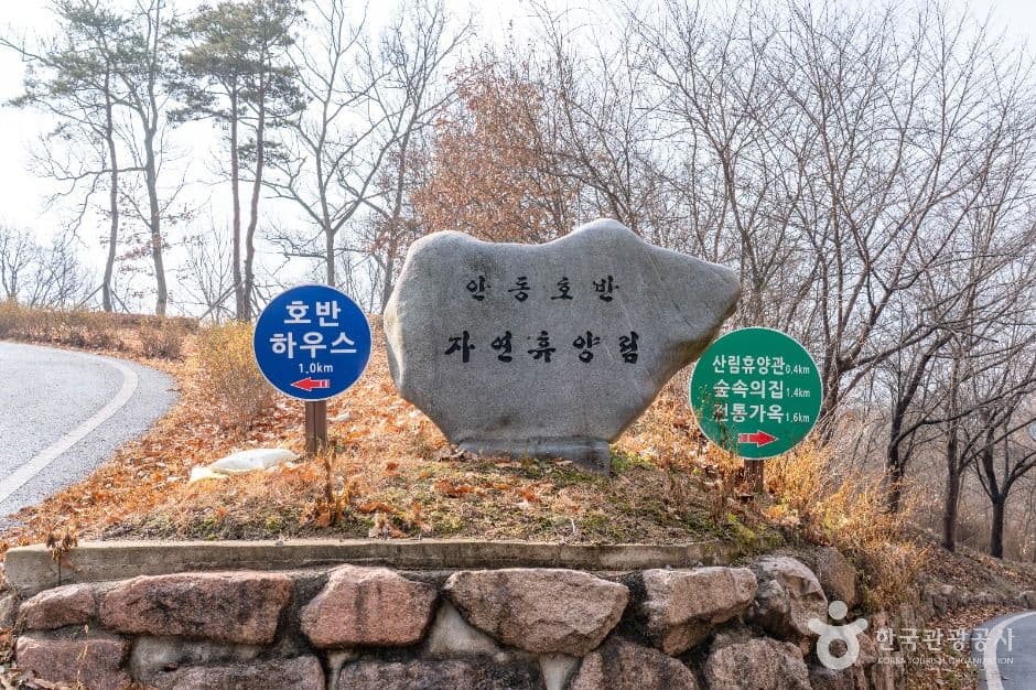 안동_안동호반자연휴양림 (5)
