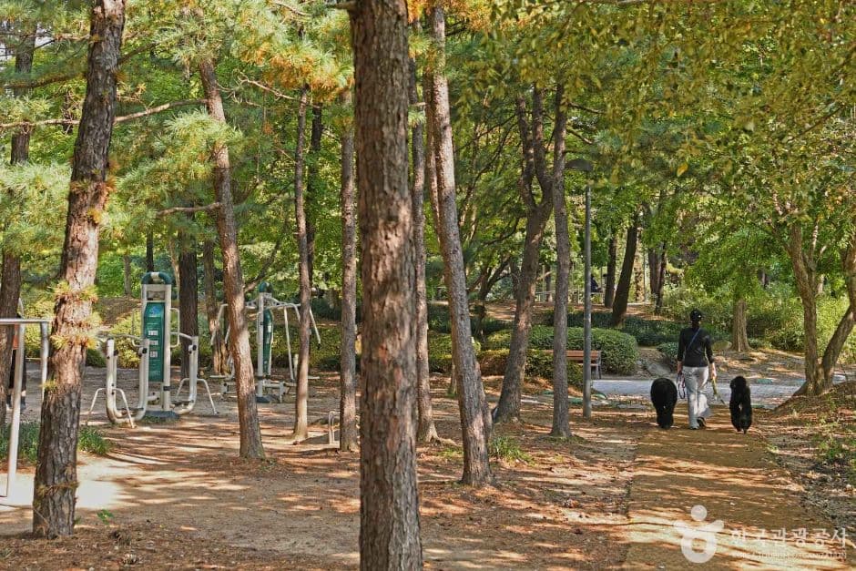 효원공원 (3)