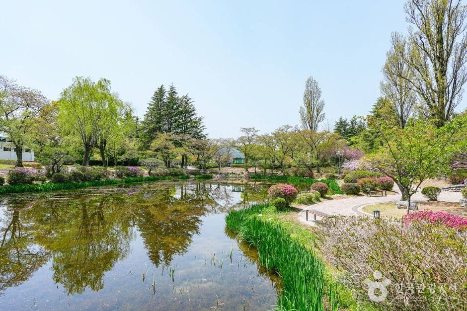 경주_보문정(경주) (5)