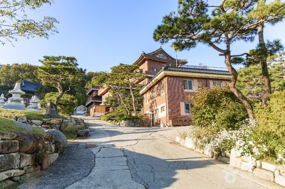 음성군_광명선원 (3)