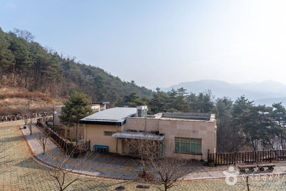 안동_안동호반자연휴양림 (6)
