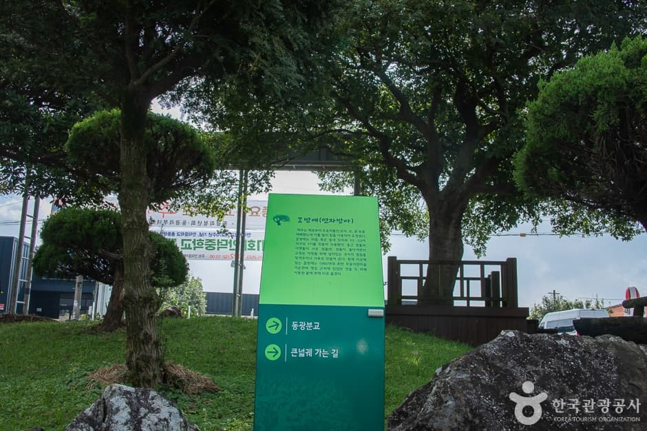 제주_서귀포_동광리농촌체험마을(16)