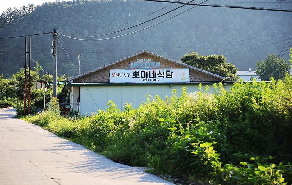 뽀야네식당