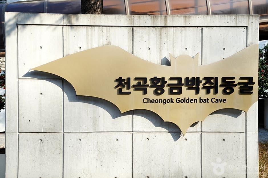 천곡천연동굴 자연학습체험공원 (8)