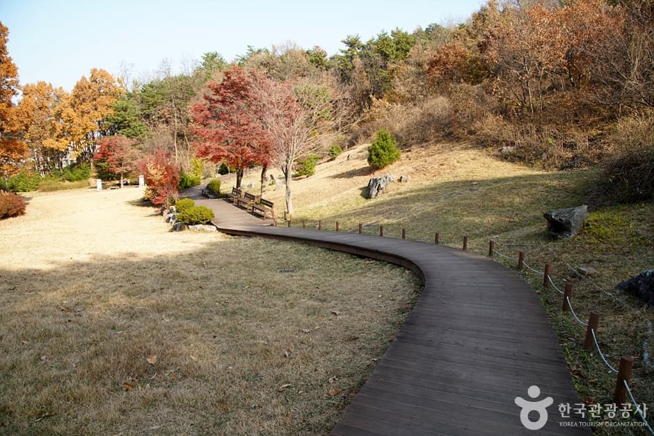 천곡천연동굴 자연학습체험공원 (9)