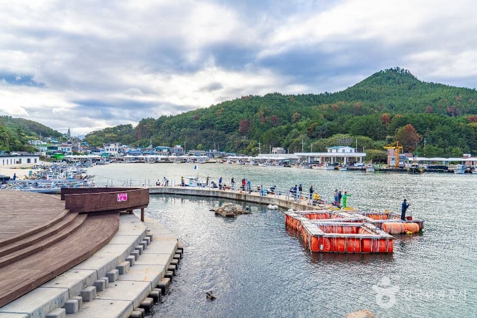 영덕_대진항(영덕) (4)