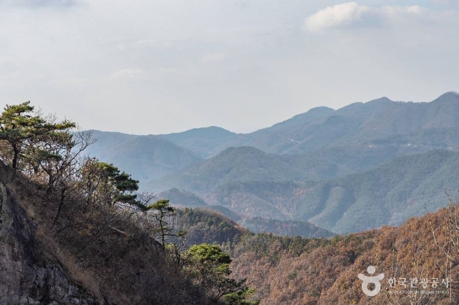 정읍_석탄사(정읍) (5)