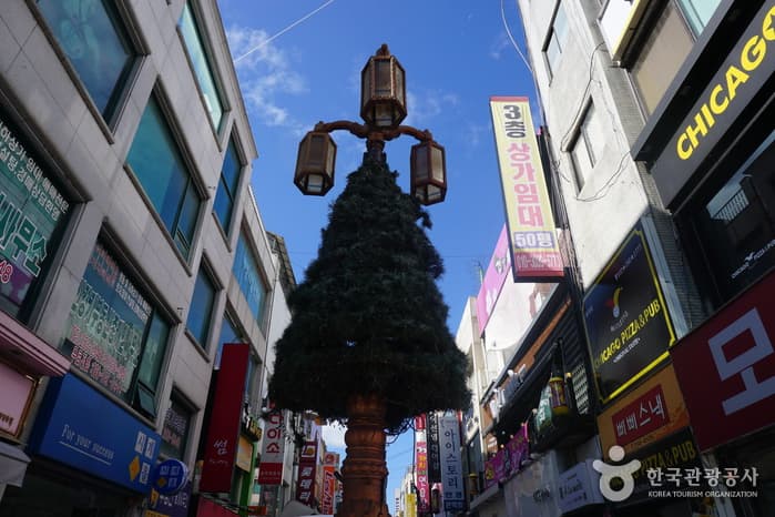 춘천 명동거리(1)