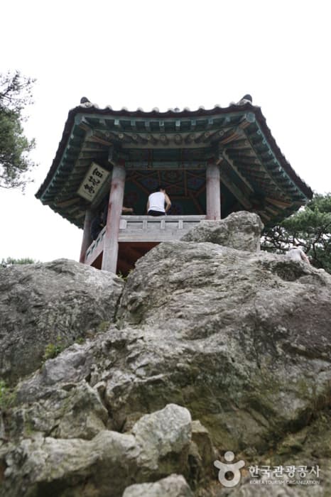 백화정_03