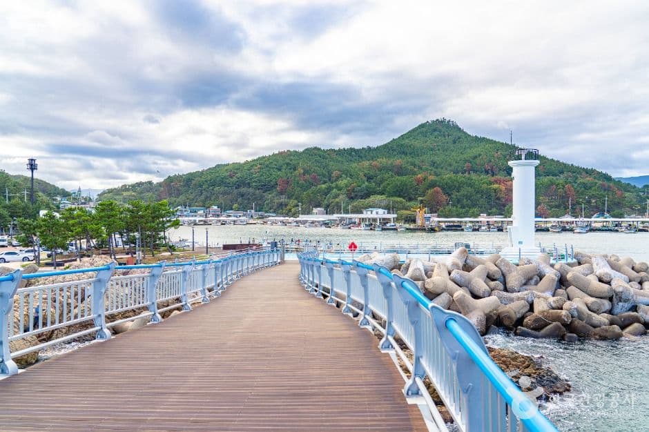 영덕_대진항(영덕) (6)