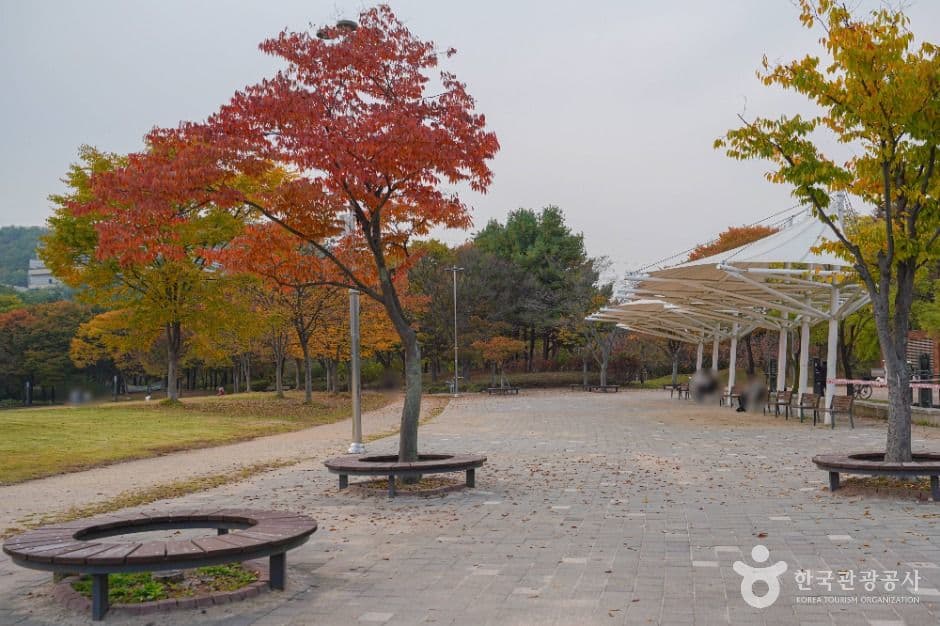 서울_난지천공원 (4)