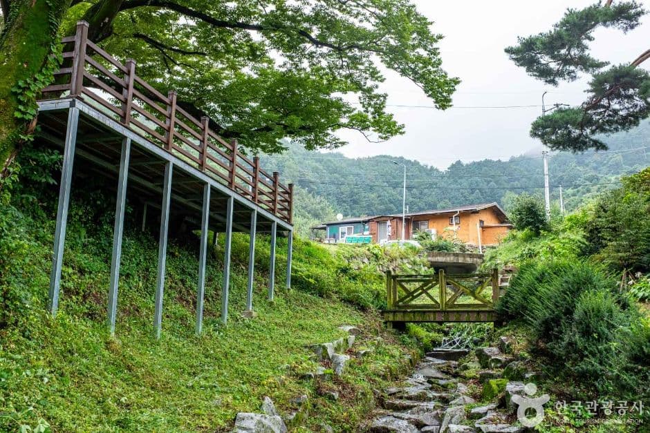 영주_영주 솔향기마을 (6)