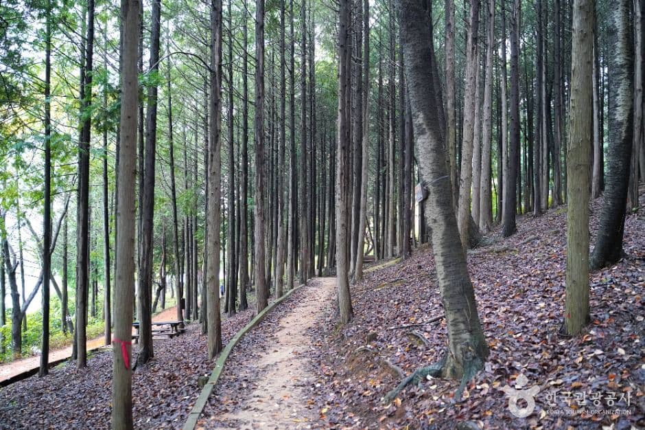 땅뫼산