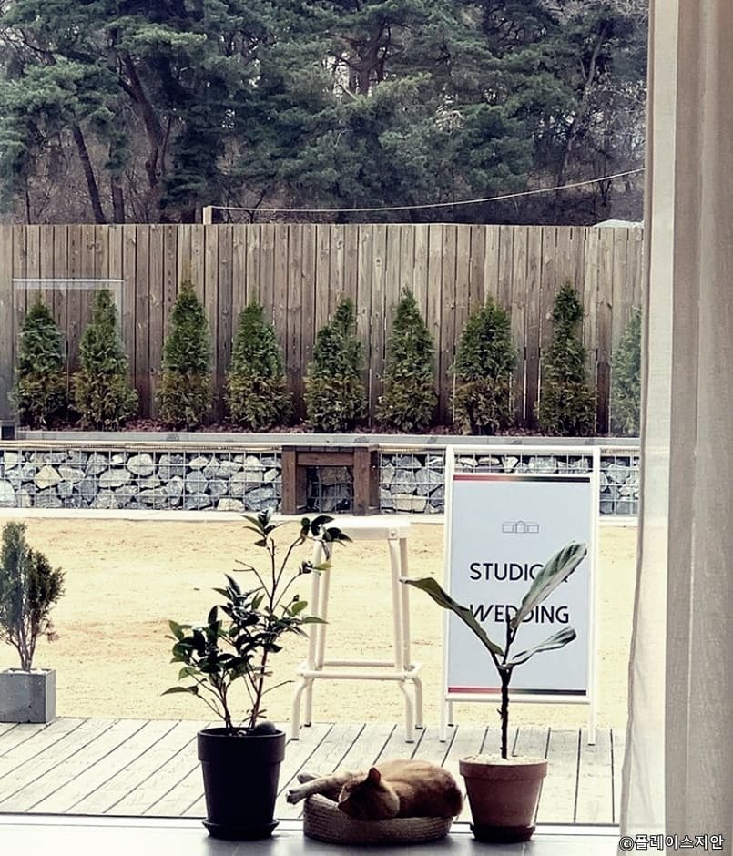 경기도_양주시_플레이스지안_창밖
