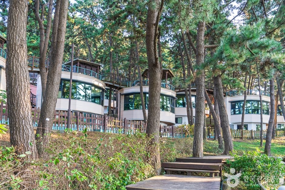 죽도(보령) (8)