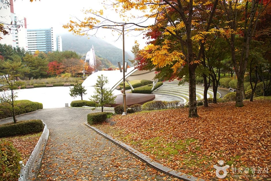 홍천 무궁화공원 (22)