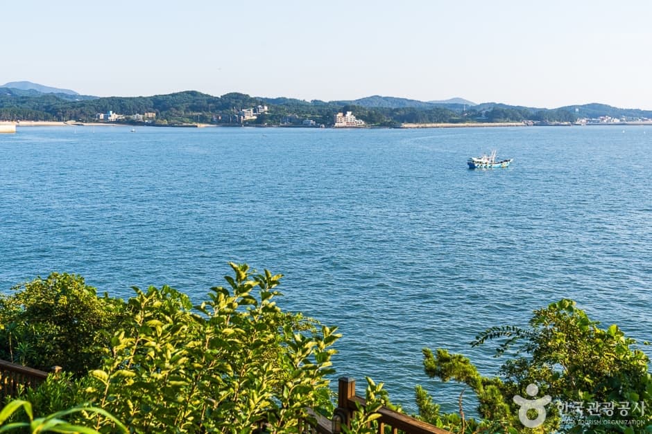 죽도(보령) (9)