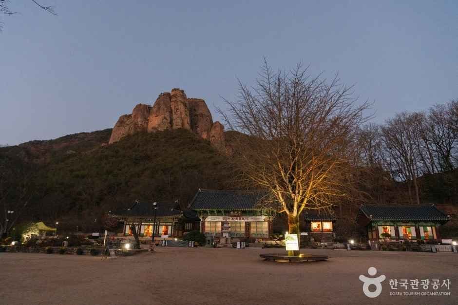 청송 대전사