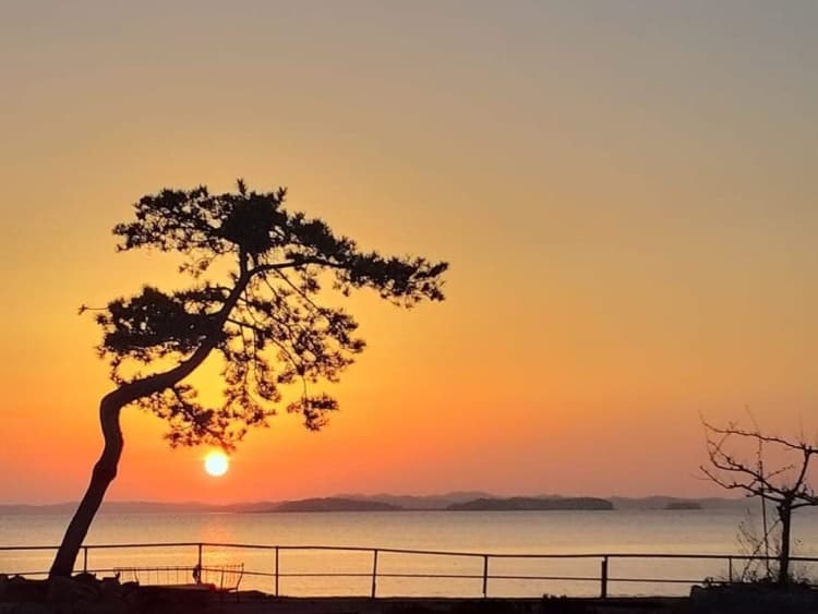 꽃동산횟집_전망