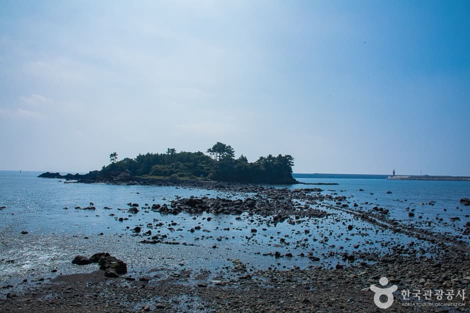 서건도(6)