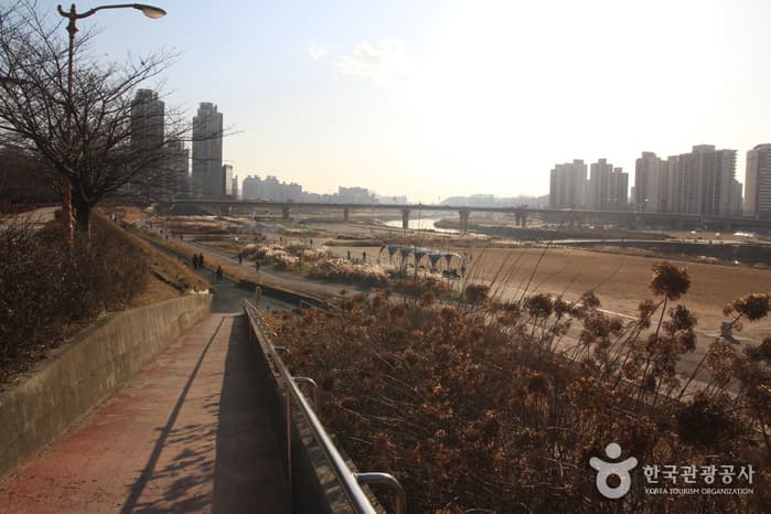 서울_양천_안양천05