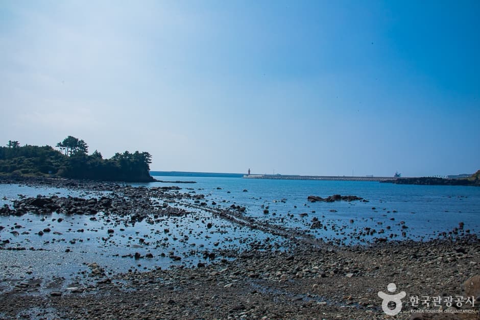 서건도(7)
