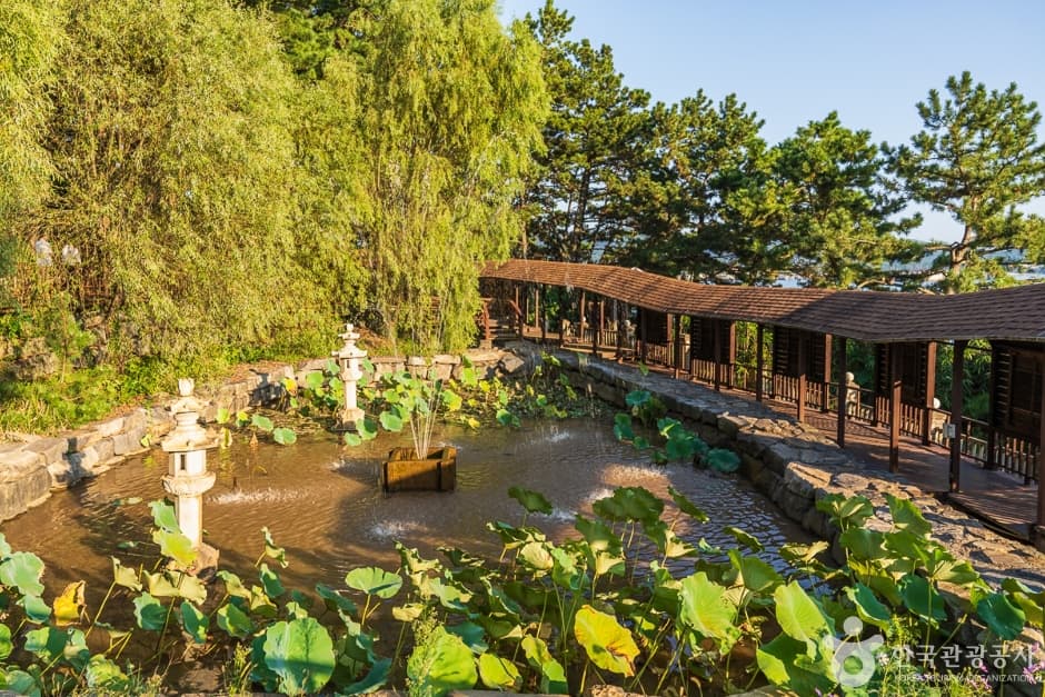 죽도(보령) (11)