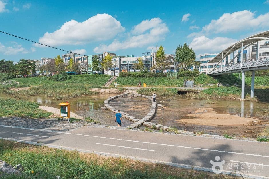 대전_갑천 (3)