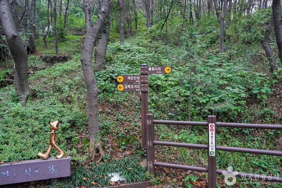 A04302_인천_계양_계양산 산림욕장(4)