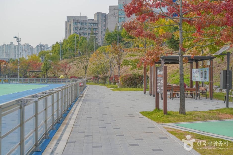 서울_살곶이체육공원 (2)