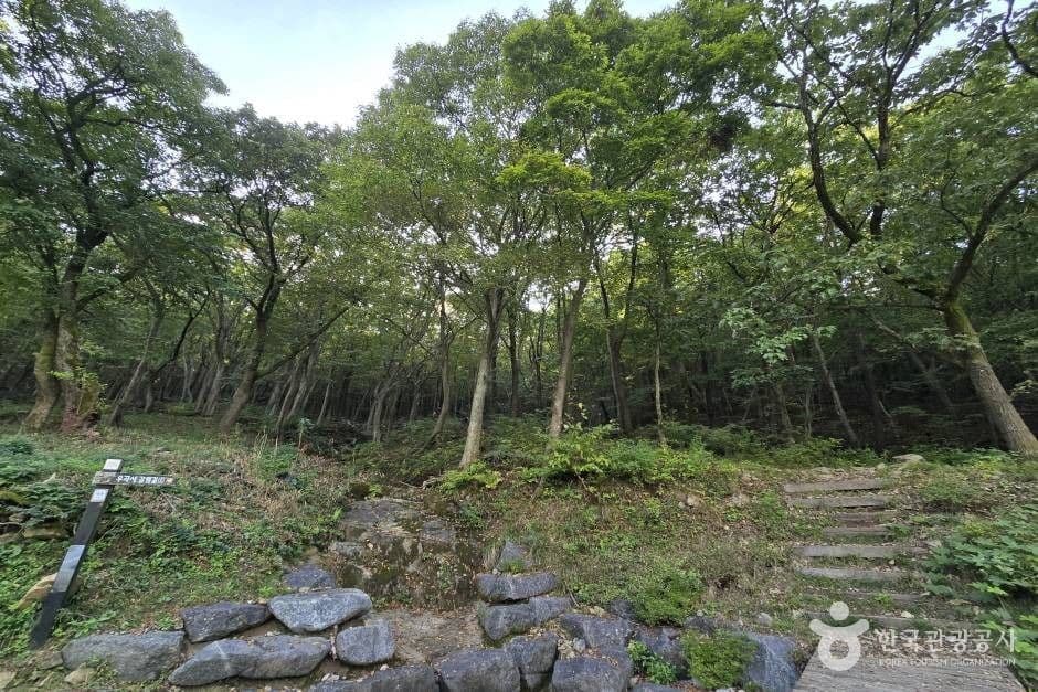 창원 진례산성_e (15)