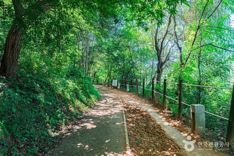 전주_오송제 (6)