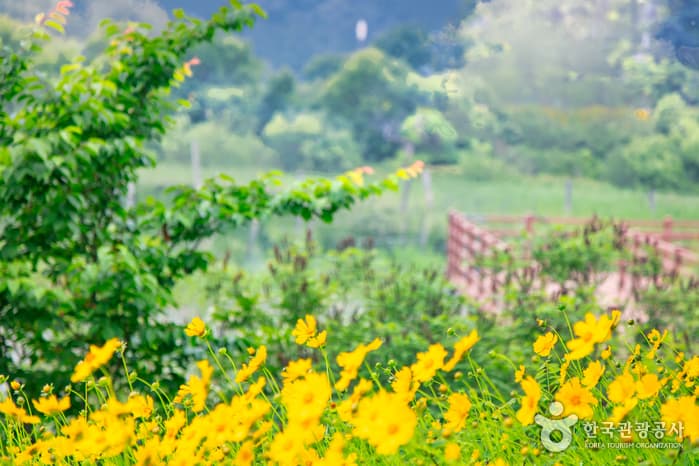 하중도수변생태공원 7