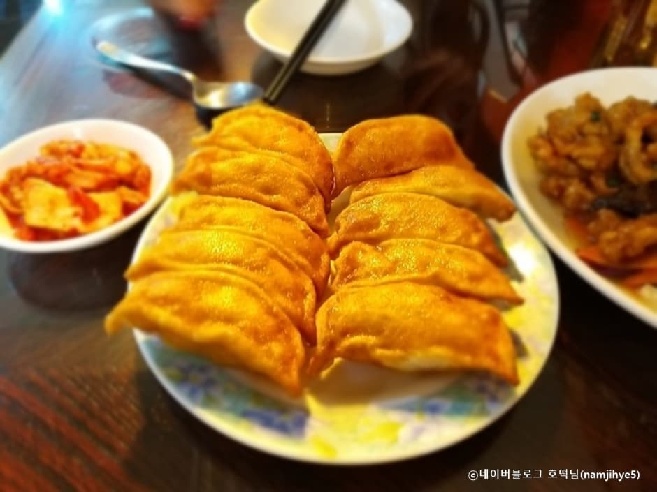 경기도_수원시_수원만두_군만두