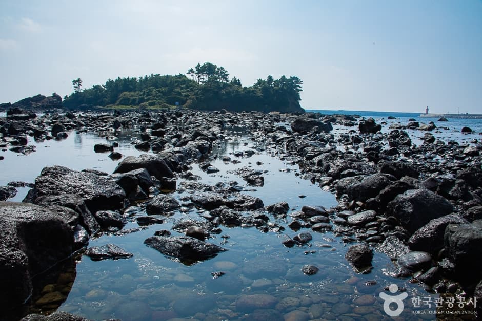 서건도(12)