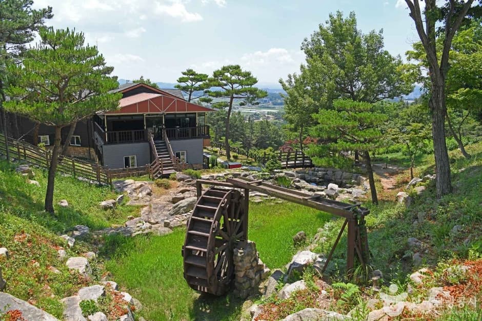 용봉산자연휴양림 (6)