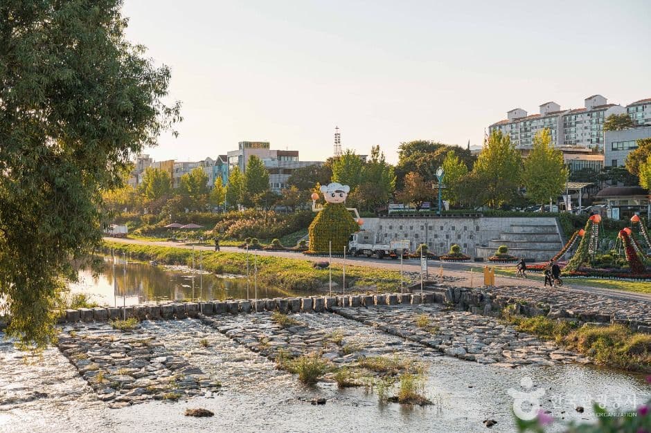 대전_갑천 (7)