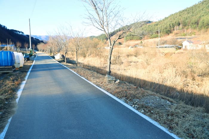 억두동길(5)