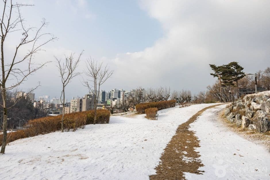 서울노원_초안산 (1)
