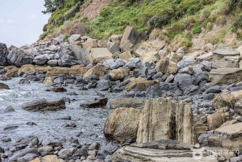 제주_서귀포시_서귀포 패류화석산지_2932006 (7)