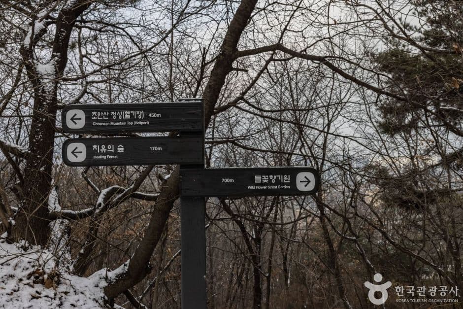 서울노원_초안산 (2)