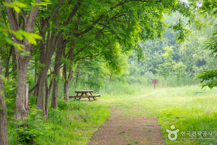 하중도수변생태공원 11