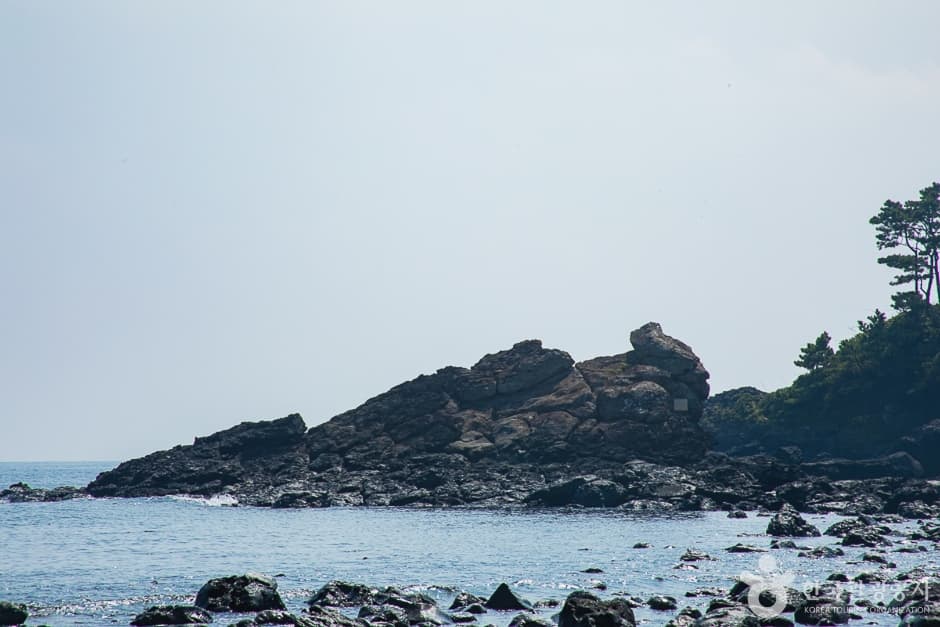 서건도(16)