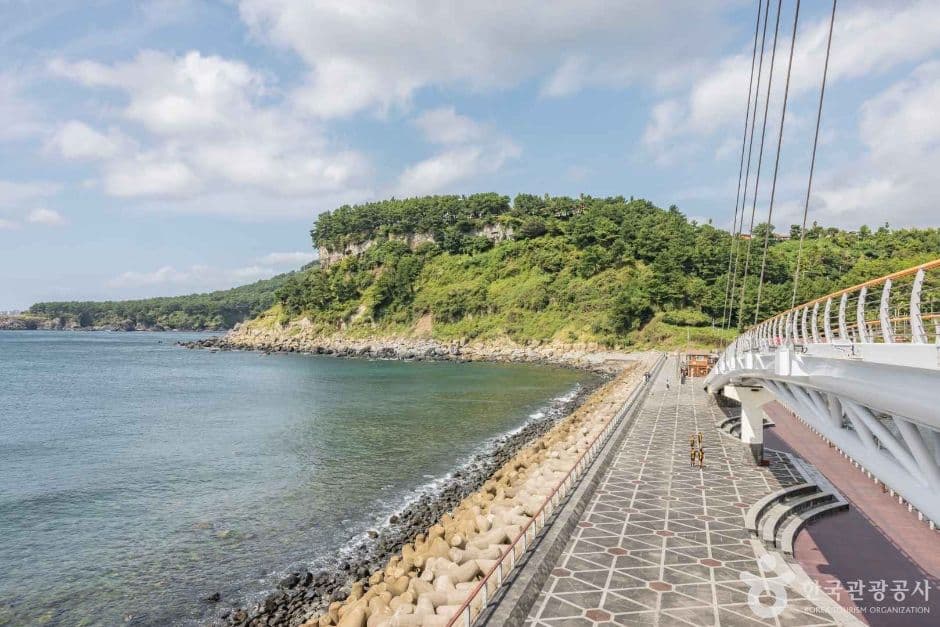 제주_서귀포시_서귀포 패류화석산지_2932006 (5)